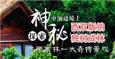 女人操男人鸡鸡的视频