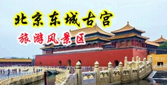 性交ⅩX00中国北京-东城古宫旅游风景区